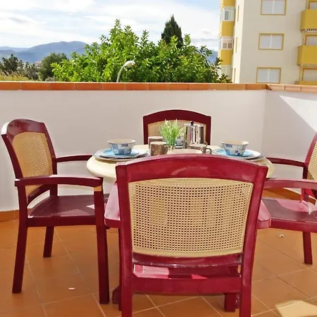 Palmeras En La Playa - House In Apartamento Oliva