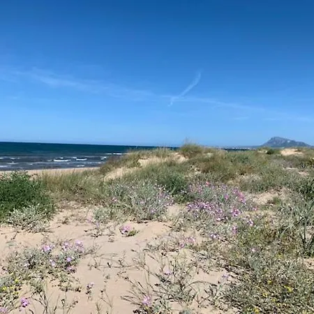 아파트 Palmeras En La Playa - House In *